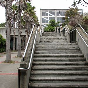 Primate Discovery Center - Steps