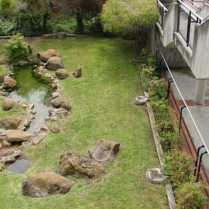 Primate Discovery Center - Former Exhibit Location