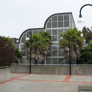 Primate Discovery Center - Upper Terrace