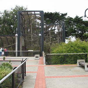 Primate Discovery Center - Upper Terrace