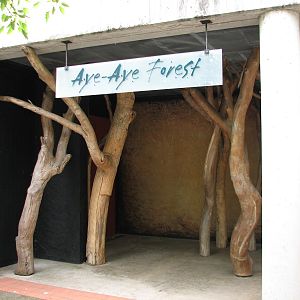 Primate Discovery Center - Aye-aye Forest Exterior