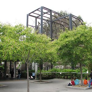 Primate Discovery Center - Francois Langur Exhibit