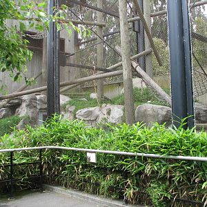 Primate Discovery Center - Francois Langur Exhibit