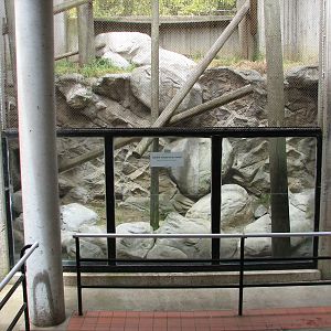 Primate Discovery Center - Empty Exhibit