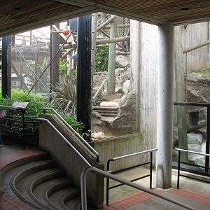 Primate Discovery Center - Lower Viewing Area