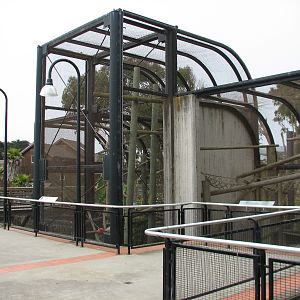 Primate Discovery Center - Lion-tailed Macaque Exhibit