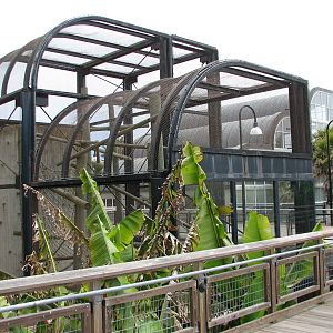 Primate Discovery Center - Lion-tailed Macaque Exhibit