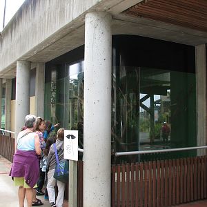 Primate Discovery Center - Emperor Tamarin Exhibit