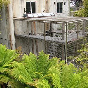 Primate Discovery Center - Black and White Colobus Monkey Exhibit