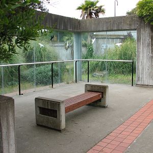 Primate Discovery Center - Patas Monkey Exhibit Viewing Area