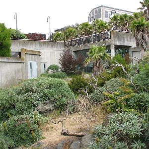 Primate Discovery Center - Patas Monkey Exhibit