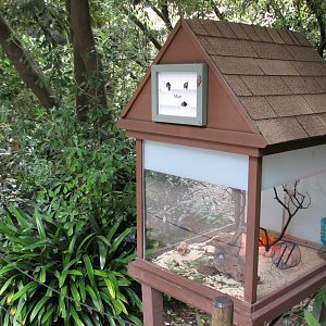 Childrens Zoo - Mouse Exhibit