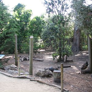 Childrens Zoo - Wild Turkey Exhibit