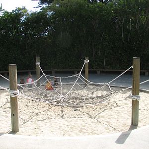 Childrens Zoo - Rope Spiderweb Play Structure