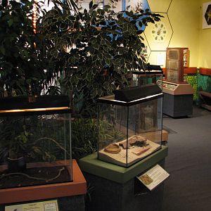 Childrens Zoo - Insect Zoo Interior