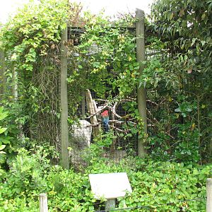 Childrens Zoo - Macaw Exhibit