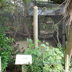 Childrens Zoo - Squirrel Monkey Exhibit