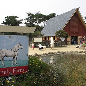 Childrens Zoo - Family Farm