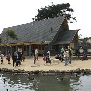 Childrens Zoo - Family Farm