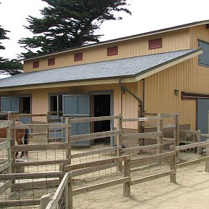 Childrens Zoo - Family Farm