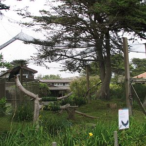 Childrens Zoo - Turkey Vulture Exhibit