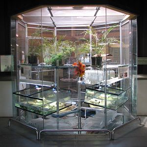 Childrens Zoo - Animal Resource Center - Western Pond Turtle Exhibits