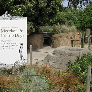 Childrens Zoo - Meerkats and Prairie Dogs - Sign
