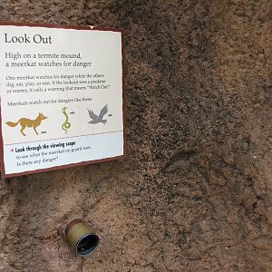 Childrens Zoo - Meerkats and Prairie Dogs - Lookout Scope