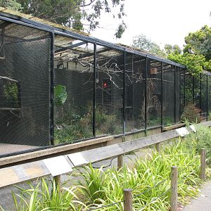 Bird Exhibits