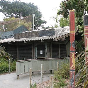 Southern Ground Hornbill Exhibit