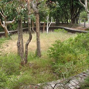 Koala Crossing - Outdoor Yard