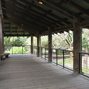 Koala Crossing - Viewing Shelter