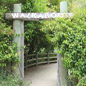 Australian Walkabout - Entry