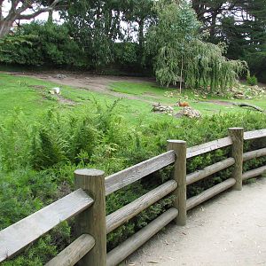 Australian Walkabout - Viewing Area