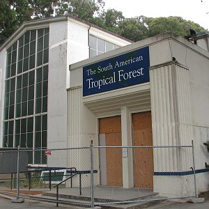 South American Tropical Forest Building