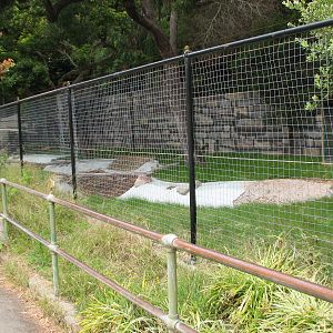Empty South American Exhibit