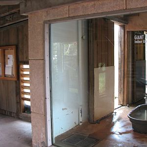 Puente al Sur - Giant Anteater Bedroom