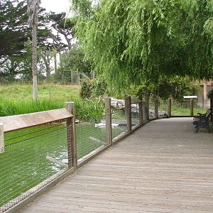 Puente al Sur - Viewing Deck