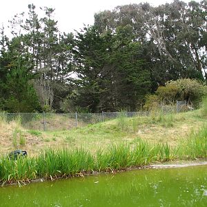 Puente al Sur - Giant Anteater and Black-necked Swan Exhibit