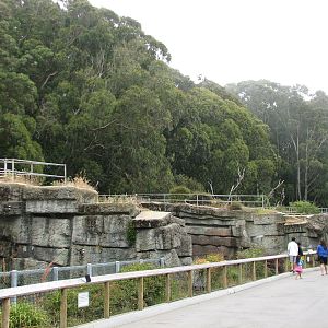 Bear Country - Grottos