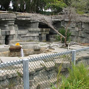 Polar Bear Exhibit 1