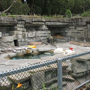 Polar Bear Exhibit 3