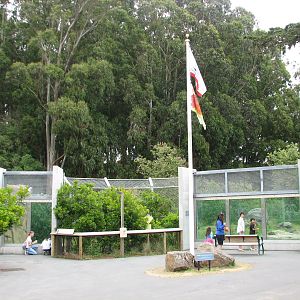 Grizzly Gulch - Viewing Areas and State Flag