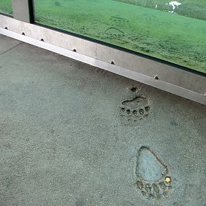 Grizzly Gulch - Paving Detail