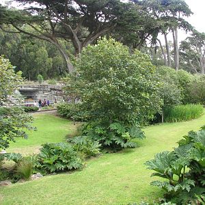 Bear Country Area Landscape