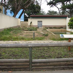 Bairds Tapir Exhibit