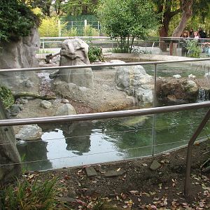 River Otter Exhibit