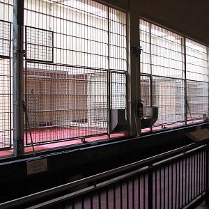 Lion House - Interior