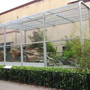 Fishing Cat Exhibit