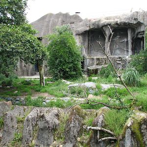Sumatran Tiger Exhibit